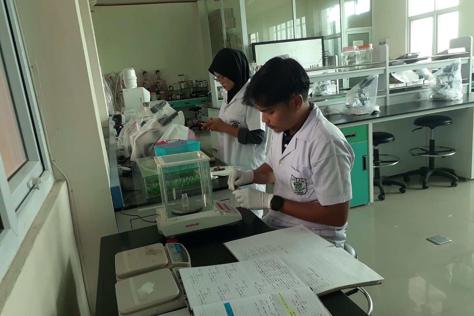 Laboratorium Biologi Mulai Penelitian Perdana tahun 2026 tentang Potensi Beruas Laut sebagai Antioksidan Alami