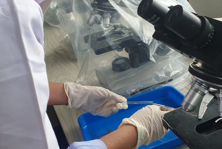 Mahasiswi Program Studi Akuakultur Universitas Samudra, Rizatunnur, melaksanakan penelitian di Laboratorium Agroteknologi UPA Laboratorium Terpadu Universitas Samudra