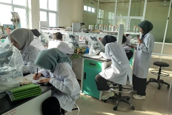 Praktikum  Fakultas Sains dan Teknologi, Program Studi Biologi