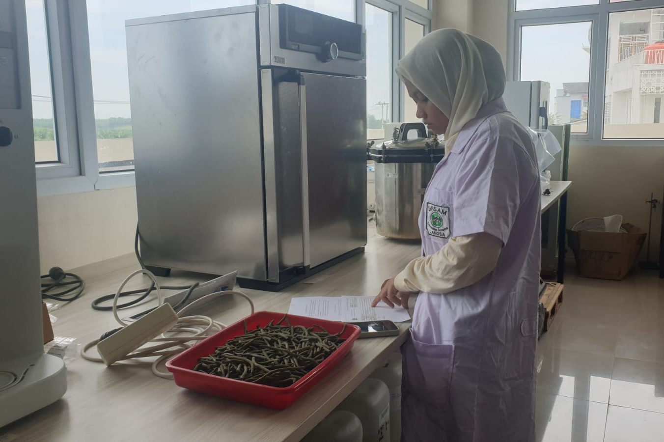 Mahasiswi Akuakultur Universitas Samudra Lakukan Penelitian Pemanfaatan Enzim Bromelain pada Benih Nila Merah