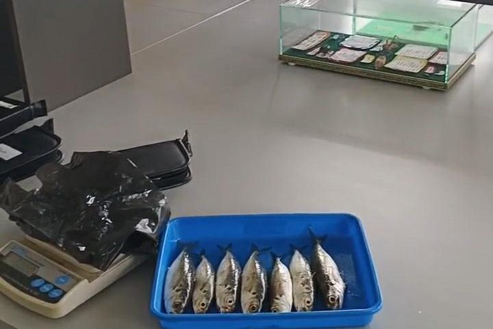 Praktikum Statistika Mahasiswa Akuakultur di Laboratorium Agroteknologi