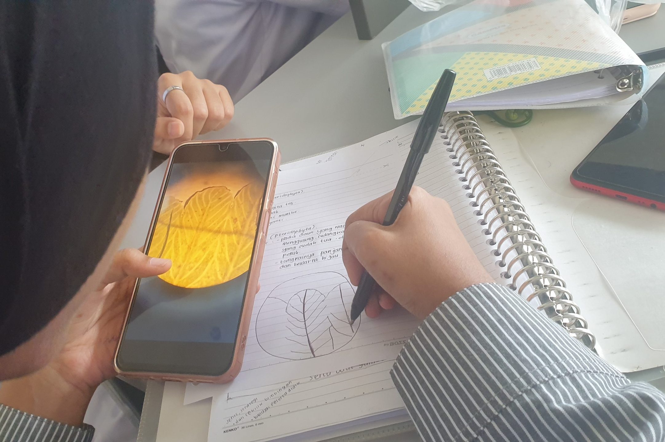 Kolaborasi Lab Agroteknologi dan Biologi Dukung Praktikum Botani
