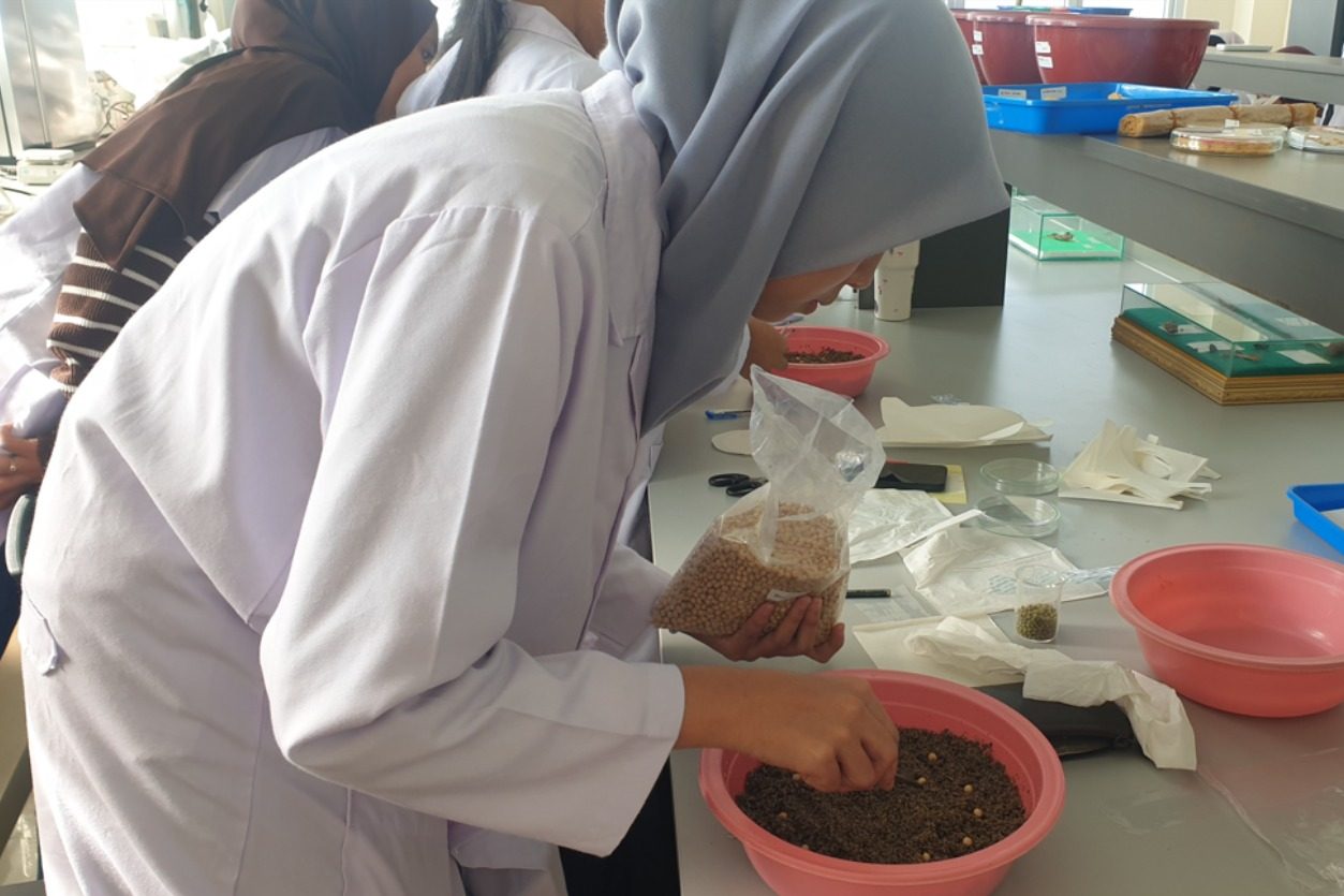 Praktikum Mata Kuliah Teknologi Benih: Mahasiswa Agroteknologi Melaksanakan Uji Viabilitas dan Uji Vigor Benih di Laboratorium Agroteknologi