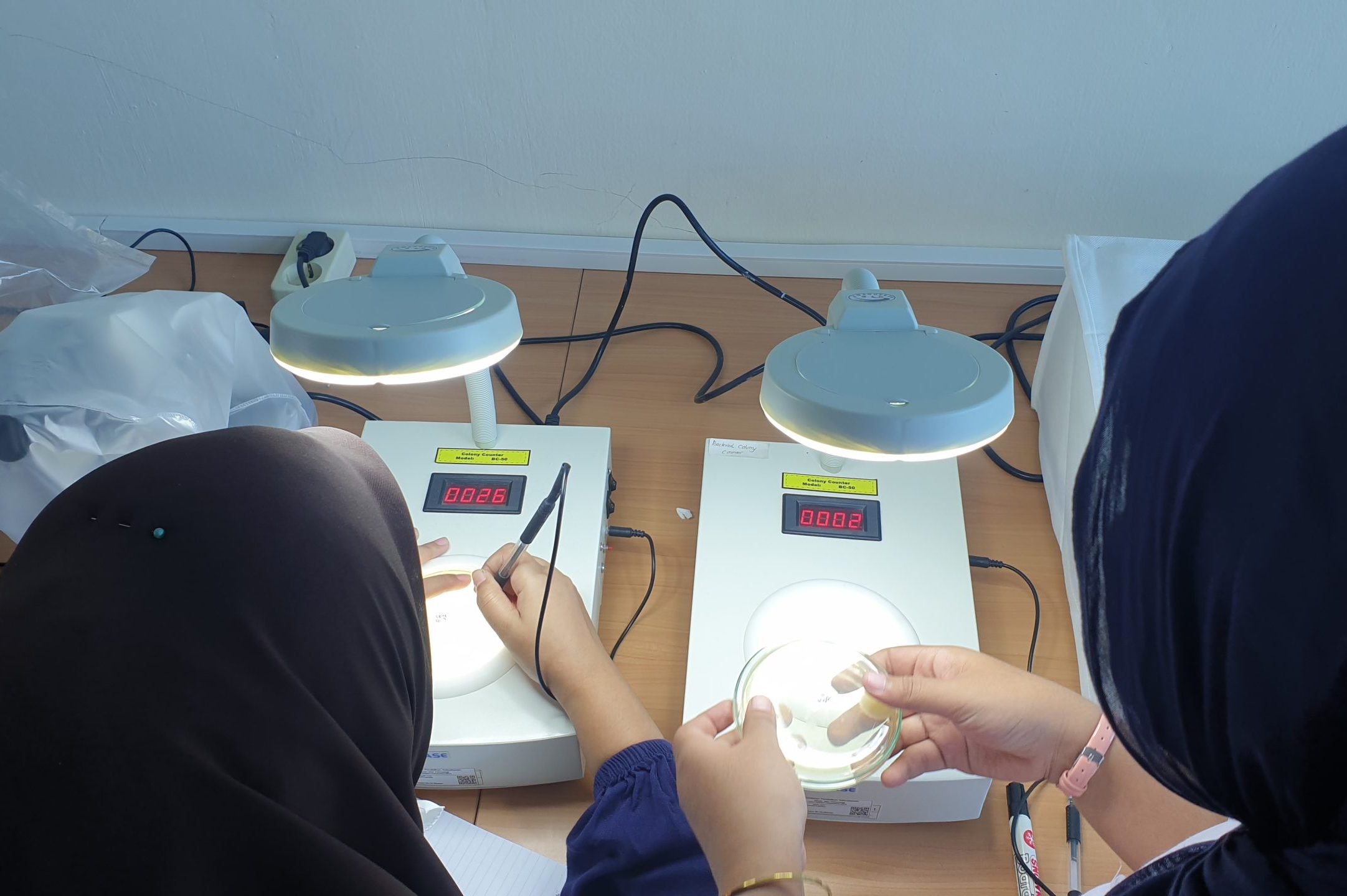 Mahasiswa Akuakultur Hitung Koloni Bakteri Probiotik di Laboratorium Mikrobiologi